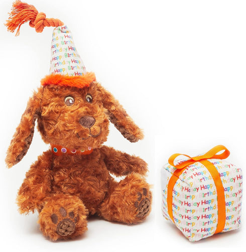 Pet London Happy Birthday Dog Toy - 2 Toys in 1, Plush Dog and Detachable Present, Squeaky Gift for Dog