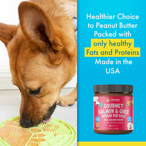 Visionary Pet Foods Tasty Spread for Dogs - Salmon Recipe - Healthy Dog Treat - Dog Treat Pouch - 10oz Jar