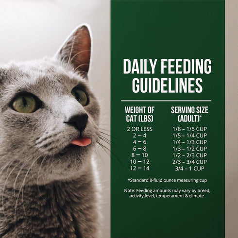 Fussie Cat Market Fresh Salmon & Chicken Meal Formula, Grain-Free Dry Cat Food, 4lb
