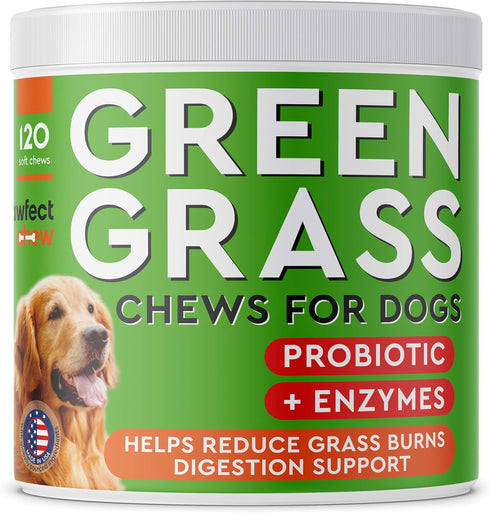 Green Lawn Chews for Dogs - Urine Neutralizer for Grass Burn Spots, Probiotics & Enzymes, Bacon Flavor, 120 Chews