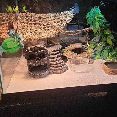 Chameleon Feeding Bowl with Suction Cup, 4Pcs Reptiles Feeder Water Bowls for Lizard Bearded Dragon Gecko