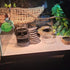 Chameleon Feeding Bowl with Suction Cup, 4Pcs Reptiles Feeder Water Bowls for Lizard Bearded Dragon Gecko