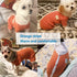 TONY HOBY Stripes Dog Pajamas for Female/Male Pets, 4 Legged Jumpsuit, Soft Cotton Clothes (XL, Orange+White-Boys)