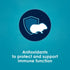 Immune 5 Kaytee Forti-Diet Pro Health Nourish+Protect Guinea Pig Food, Comprehensive Nutrition Backed by Science