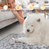 Small Dog Blanket for Medium Large Dogs - Fleece Puppy Blanket - Washable Dog Blankets for Bed Couch Protection with
