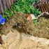 Hammock,Reptile Hermit Crab Accessories, Hermit Crab Climbing Toys,Flexible Moss Pole with Wood Bridges Reptile Tank