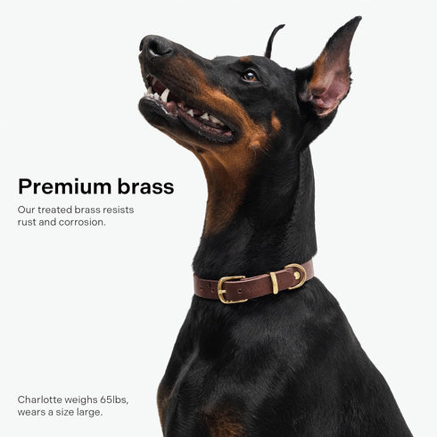 Classic Leather Dog Collar by Scout Supply, Heavy Duty Thick Full Grain Leather, Waterproof & Rust-Proof Brass Hardware
