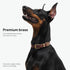 Classic Leather Dog Collar by Scout Supply, Heavy Duty Thick Full Grain Leather, Waterproof & Rust-Proof Brass Hardware