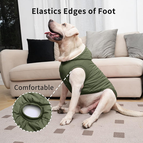 Fleece Lining Extra Warm Dog Hoodie, Green Jacket for Small Dogs with Hooded Design