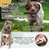 Dog Chew Toys for Aggressive Chewers, Tough Squeaky Interactive Toy for Medium/Large Dogs