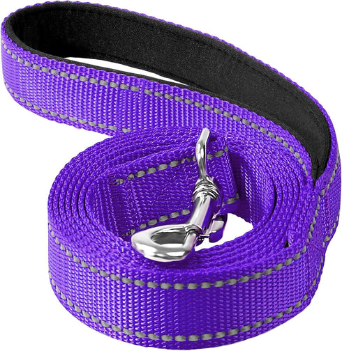 6ft Dog Leash for Small Medium Large Dogs, One-Sided Reflective Nylon, Padded Handle, Purple, 3/4 inch Wide