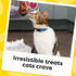 30 oz. Temptations Cat Treats Classic Crunchy and Soft Cat Treats, Tasty Chicken Flavor, Tub