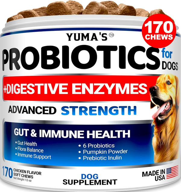 Probiotics for Dogs - 170 Dog Probiotics Chews for Digestive Health, Anti Diarrhea & Gas Relief