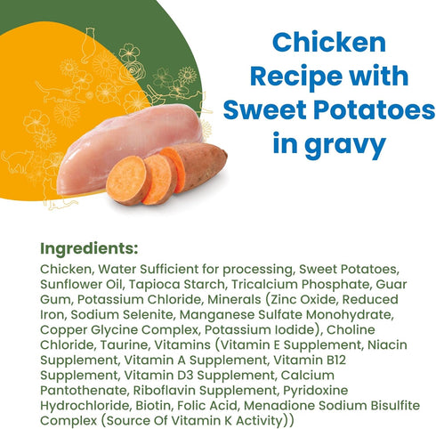almo nature HQS Complete Chicken with Sweet Potatoes in Gravy Grain Free Wet Canned Cat Food (Pack of 24 x 2.47 oz)