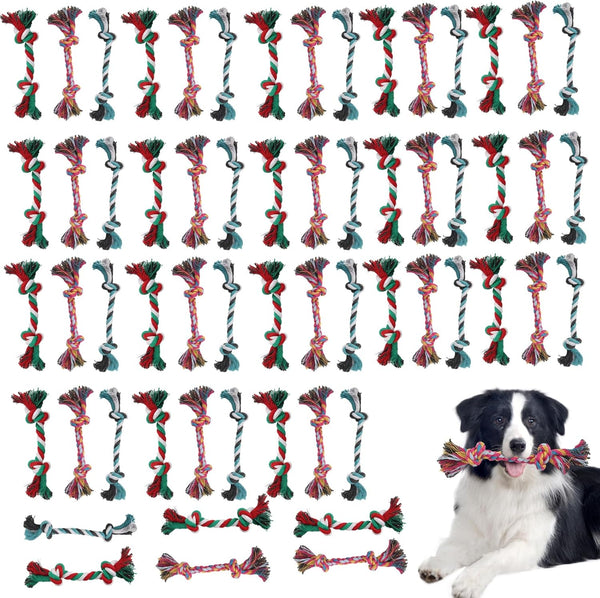 60 Pcs Multi Color Knot Rope Dog Chew Toys | Puppy Tug of War Toy for Small and Medium Dogs