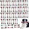 60 Pcs Multi Color Knot Rope Dog Chew Toys | Puppy Tug of War Toy for Small and Medium Dogs