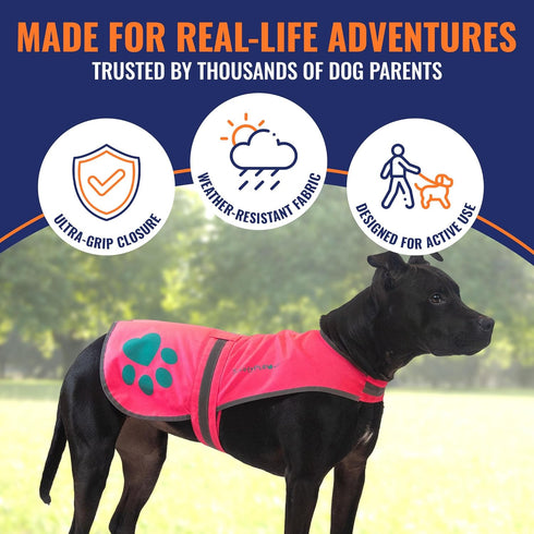 Dog Reflective Vest, Hi-Vis Fluorescent Visibility for Pet Safety On/Off Leash, Urban & Rural Areas (Pink, X-Small)