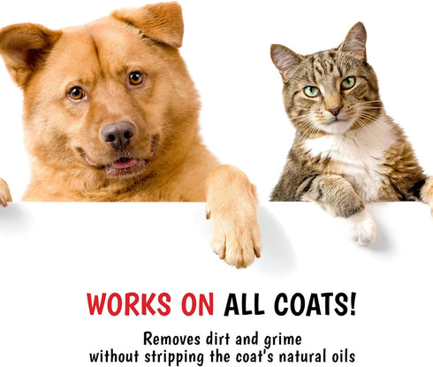 17 oz Warren London Neem Oil with Oatmeal Dog Shampoo - Deep Cleansing & Moisturizing for Sensitive Skin - Itch Relief