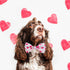 Valentine Dog Bow Tie Collar, Holiday Let's Kiss and XOXO Collar for Large Medium Small Pets Puppies (Large)