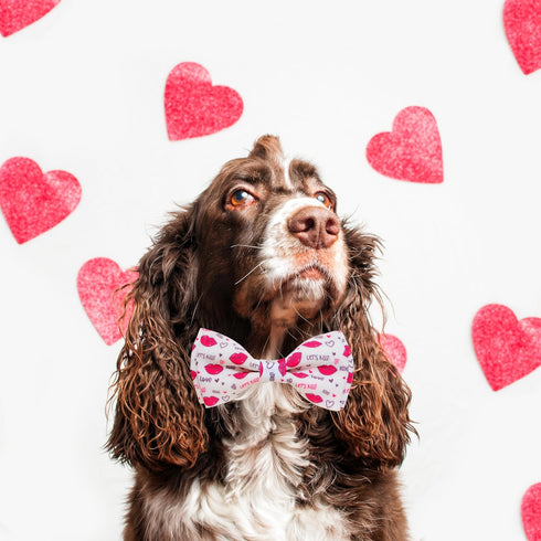 Valentine Dog Bow Tie Collar, Holiday Let's Kiss and XOXO Collar for Large Medium Small Pets Puppies (Medium)