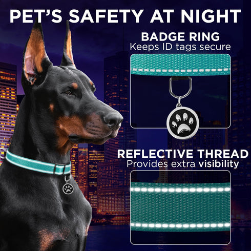 TECEUM Reflective Pet Collar – Basic Nylon Dog Collar – Quick Release Buckle – Aquamarine – M – Fits Small, Medium and