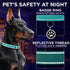 TECEUM Reflective Pet Collar – Basic Nylon Dog Collar – Quick Release Buckle – Aquamarine – M – Fits Small, Medium and