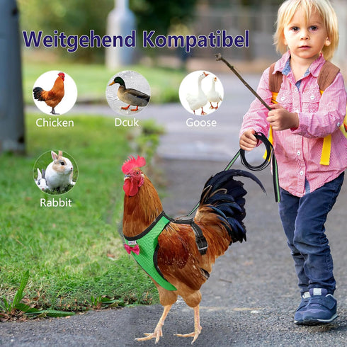 Chicken Harness Hen Size with 6-foot Matching Belt - Adjustable, Comfortable, Breathable, Small Size for Chicken, Duck