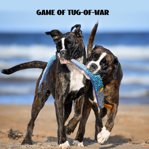 Nocciola EEL Squeaky Dog Toy, Tough No Stuffing Toy for Tug of War, Puppy Interactive Puzzle Fun to Keep Them Busy