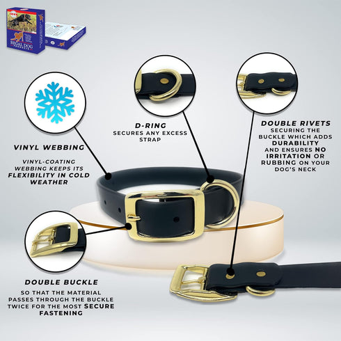 Regal Dog Products Small Light Blue Waterproof Dog Collar with Gold Buckle, Durable and Comfortable Design