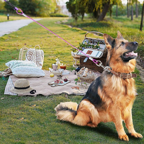 Chew Proof Dog Leash Extension - Add to Any Leash, Collar & Harness for Large and Medium Dogs Walking, Running, Training