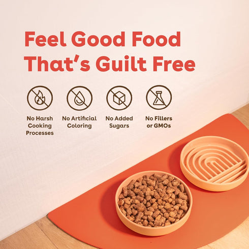 16 oz) Pupford Good Dog Food, Freeze-Dried Raw, High-Protein, Superfood Ingredients, Vet-Approved, No Fillers