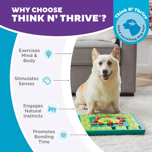 4 Outward Hound by Nina Ottosson MultiPuzzle Interactive Dog Treat Puzzle Enrichment Toy, Level Expert