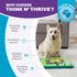 4 Outward Hound by Nina Ottosson MultiPuzzle Interactive Dog Treat Puzzle Enrichment Toy, Level Expert