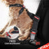 EzyDog Premium Chest Plate No-Pull Padded Comfort Dog Harness for Training and Walking (X-Small, Denim)