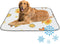 imiBBWQu Cooling Mat for Dogs Fish Duck Starfish Yellow White Coolingdog Mat Washable