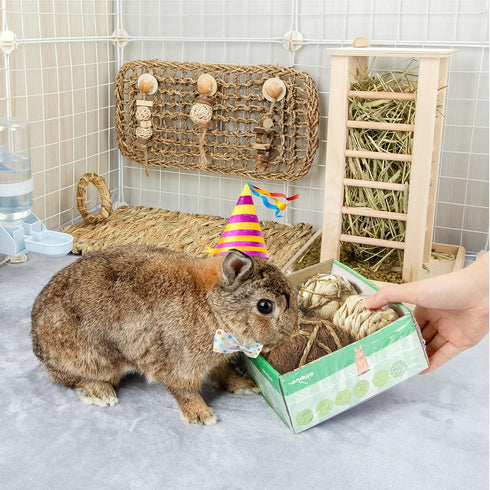 andwe Small Animals Play Balls, Rolling Chew Toys & Gnawing Treats for Rabbits, Guinea Pigs, Pack of 4