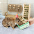 andwe Small Animals Play Balls, Rolling Chew Toys & Gnawing Treats for Rabbits, Guinea Pigs, Pack of 4