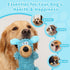 2PCS Squeaky Dog Toys, Squeaky Dog Chew Toys Bear Plush Dog Toys to Keep Them Busy, Built-in a Squeaker Interactive