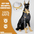 Gold Chain Dog Collar - 15mm Cuban Link with Secure Snap Buckle, 18K Gold Plated Stainless Steel, Includes Dog Tag &