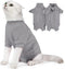 JOHNBOLIN Cat Surgery Recovery Suit, Protective Soft Cone Onesie Shirt for Female Male Pets (Grey, Large)