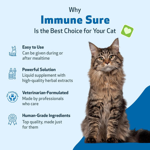 Pet Wellbeing Immune Sure for Cats - Herbal Supplement 2 fl oz - Supports Immune Defenses & Gut Flora