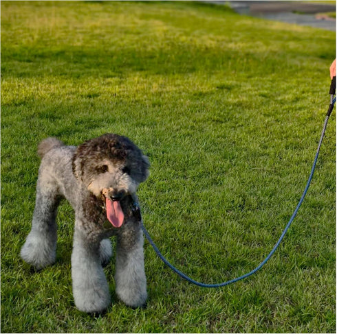MayPaw Heavy Duty Rope Dog Leash, 3/4/5/6/7/8/10/12/15 FT Nylon Pet Training Leash, Navy
