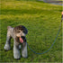 MayPaw Heavy Duty Rope Dog Leash, 3/4/5/6/7/8/10/12/15 FT Nylon Pet Training Leash, Navy