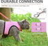 PUPTECK Soft Mesh Cat Vest Harness and Leash Set, Escape Proof Padded Pet Harness for Small Dogs, Pink Large