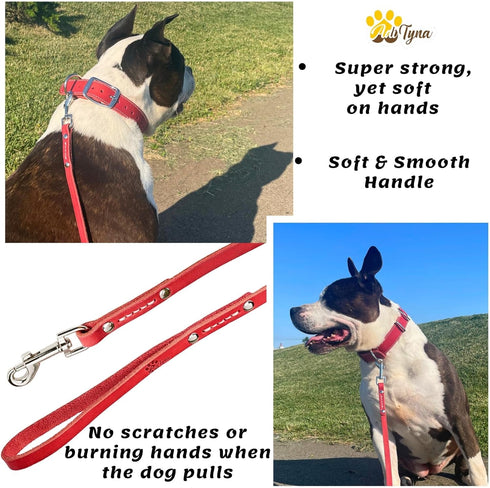 ADITYNA Premium Leather Dog Leash - 6 ft, Heavy-Duty, Soft & Strong for Small/Medium Dogs (Red, 6 ft x 1/2")