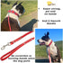 ADITYNA Premium Leather Dog Leash - 6 ft, Heavy-Duty, Soft & Strong for Small/Medium Dogs (Red, 6 ft x 1/2")