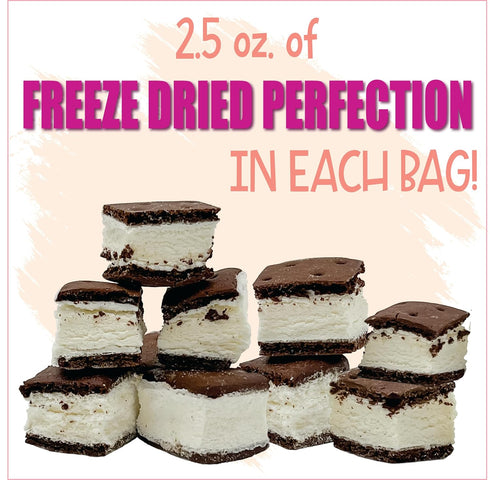 2 Pack, 2.5 oz, Freeze Dried Ice Cream Sandwich Bites, Vanilla, Crunchy & Sweet Snack, Dehydrated, Resealable Gift Bag