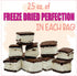 2 Pack, 2.5 oz, Freeze Dried Ice Cream Sandwich Bites, Vanilla, Crunchy & Sweet Snack, Dehydrated, Resealable Gift Bag