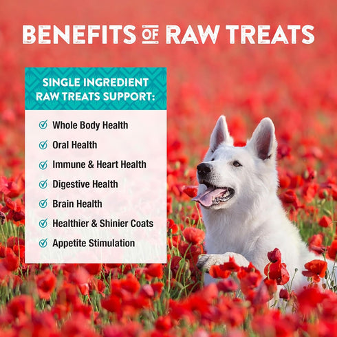 1 10 Oz Northwest Naturals Raw Rewards Freeze-Dried Chicken Breast Treats for Dogs and Cats - Bite-Sized Pieces