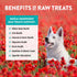 1 10 Oz Northwest Naturals Raw Rewards Freeze-Dried Chicken Breast Treats for Dogs and Cats - Bite-Sized Pieces
